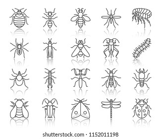 Danger insect thin line icons set. Outline sign kit of bug. Beetle linear icon collection includes ladybug mantis flea. Simple danger insect black contour symbol with reflection vector Illustration