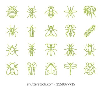 Danger Insect thin line icons set. Outline sign kit of bugs. Beetle linear icon collection includes termite, mole, bedbug. Simple danger insect contour symbol isolated on white. Vector Illustration