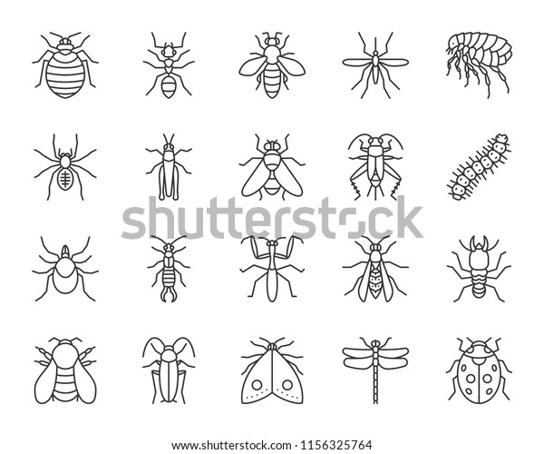 Danger insect thin line icons set. Outline\
sign kit of bugs. Beetle linear icon collection of dragonfly, fly,\
spider. Simple danger insect black contour symbol isolated on\
white. Vector\
Illustration