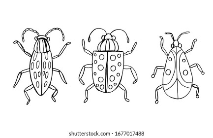 Danger Insect vector set. Web sign kit of line bugs. Beetle pictogram collection. Simple danger insect cartoon colorful icon symbol isolated on white.
