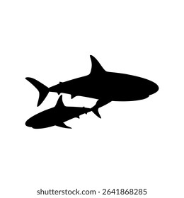 danger shark silhouette black isolated with white background. animal symbol. vector graphics