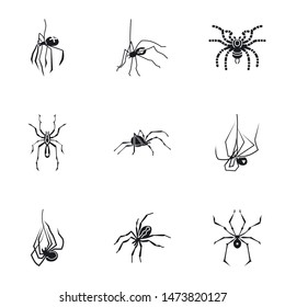 Danger spider icon set. Simple set of 9 danger spider vector icons for web design isolated on white background