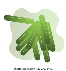 Dangerous bacteria on white background