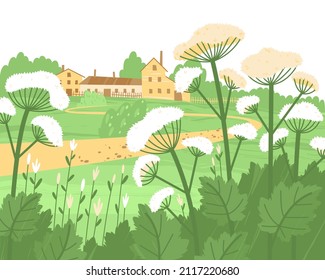 The dangerous cow parsnip grows near a farm or village. The spread of hogweed has upset the ecological balance and has become a serious problem for people. Flat vector illustration.