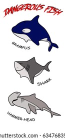 dangerous fish