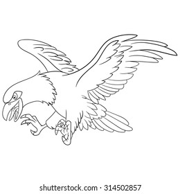 dangerous flying eagle is hunting
