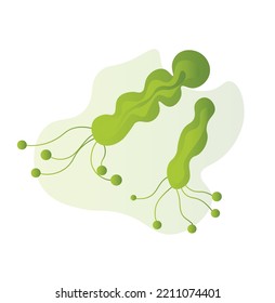 Dangerous germs on white background