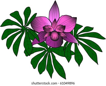 Dangerous orchid