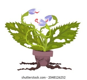 dangerous plants carnivorous plant three-headed dragon. vector flat style