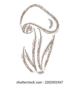 Dangerous poisonous mushrooms , forest fly agaric sketch