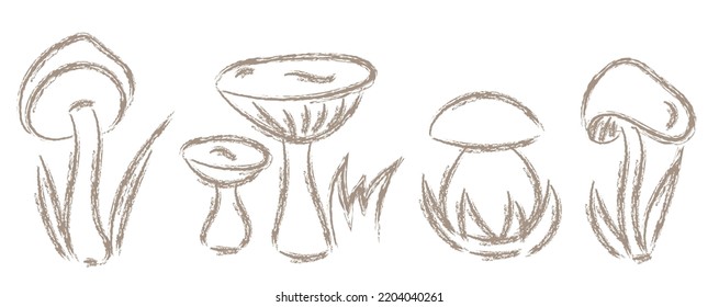 Dangerous poisonous mushrooms , forest fly agaric sketch