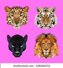 Dangerous predatory cats