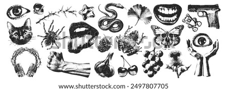 Dangerous retro elements with photocopy stipple effect for collage art. Vector illustration of cat, snake, flower, cherry, pistole, hands, eyes in halftone dotwork design for banner or poster, punk