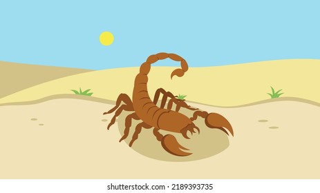 escorpión peligroso en el desierto