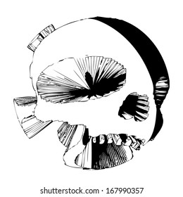 Dangerous skull vector - isolated transparent scary skull on white background