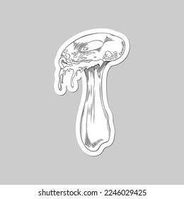 Dangerous and toxic mushroom, hand drawn sketch vector illustration isolated on gray background. Psychedelic magic mushroom monochrome tattoo sticker.