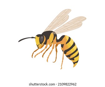 Dangerous wasp insect cartoon animal design vector illustration on white background