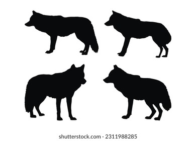 Gefährliche Wildtiere wie Wolf, Silhouetten auf weißem Hintergrund. Wolf Ganzkörpersilhouette Kollektion. Wilde Wölfe stehen in verschiedenen Positionen. Weißwölfe-Wolfsmilch-Bundle.