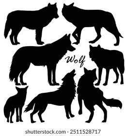 Dangerous wild animals wolf silhouettes. Wolf full body silhouette collection. Wild wolves standing in different positions. Carnivore wolves silhouette bundle. Wild coyote walking. Carnivore animals.