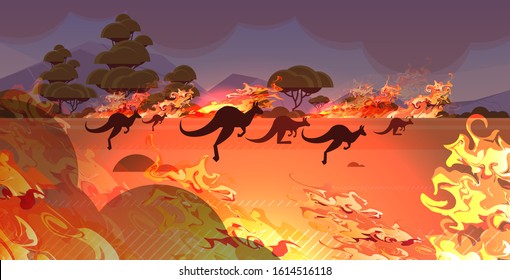 Dangerous Wildfire Bush Fire Australia Forest Fires With Silhouette Of Wild Animals Kangaroo Fire Development Dry Woods Burning Trees Natural Disaster Concept Intense Orange Flames Horizontal Vector