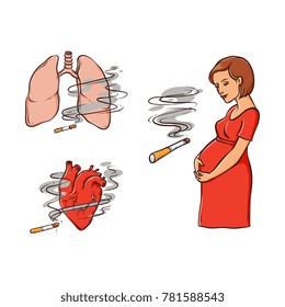 Dangers, risks of smoking for fetus, lungs and heart, set of hand drawn vector illustrations isolated on white background. Cigarette smoking danger for pregnant woman, lungs and heart