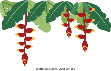 Dangling Flower Element.  Illustration of home hanging leaves of plant String of Nickels isolated on white background.