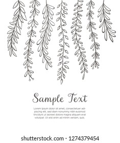 Dangling plants background. Hand drawn floral background isolated on white background. Vector illustration.
