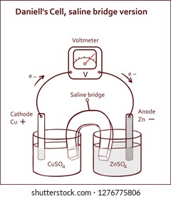 Daniell's Cell, saline bridge version vector illustration