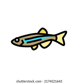 vector de icono del color de los peces danios. signo de pez danios. ilustración de símbolo aislado
