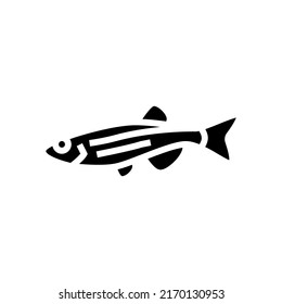 danios fish glyph icon vector. danios fish sign. isolated symbol illustration