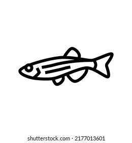 vector de icono de la línea de peces danios. signo de pez danios. símbolo de contorno aislado ilustración negra