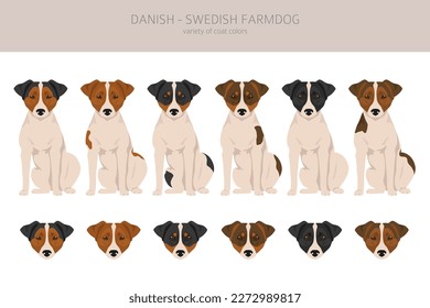 Danish swedish farmdog clipart. Different poses, coat colors set.  Vector illustration