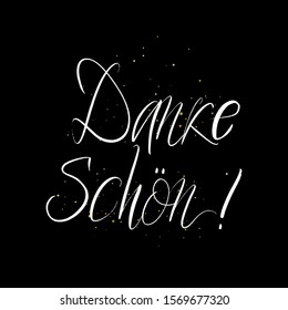 Danke Schon brush paint hand drawn lettering on black background with splashes. Thanks in german language design templates for greeting cards, overlays, posters