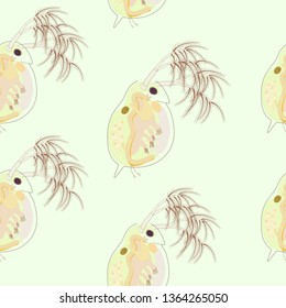 Daphnia Magna Vector