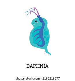 Daphnia underwater world tiny microorganism or animal, flat vector illustration isolated on white background. Daphnia freshwater crustacean animal and part of zooplankton.