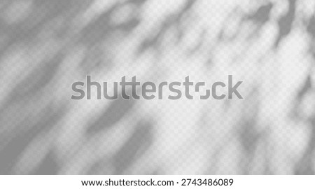 Dappled light filters through leaves, casting shadow on gray walls. Natural foliage overlay creates patterns with sunlight rays and tree shade effect