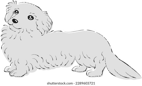 Dappu illustration (dachshund and toy poodle mix dog)