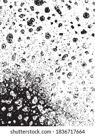 Dark abstract, grungy, grain, rusty surface, transparent backdrop. Background to use for overlay, texture, montage or brushes. Easy to recolor. Abstract vector illustration, eps 10. 