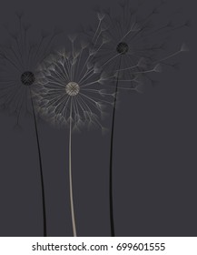Dark background with dandelion flower