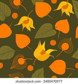 dark background with physalis. Physalis parts scattered in an eco-style pattern