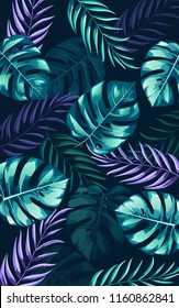 Dark background with summer monstera and jungle leaves
