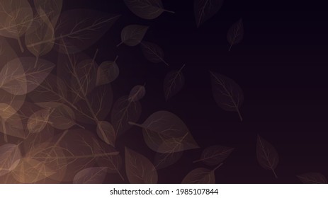 Dark background with veined leaves