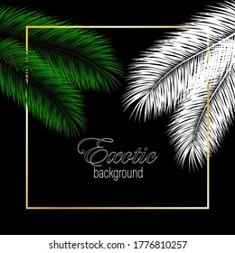 
Dark background with white and green palm leaves. Exotic Abstract Background