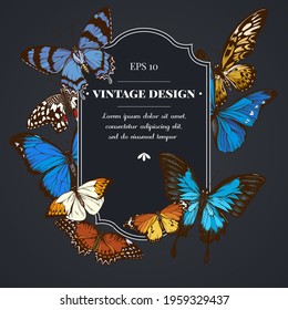 Dark badge design with blue morpho, red lacewing, african giant swallowtail, alcides agathyrsus, great orange-tip, plain tiger