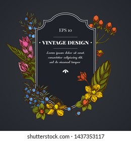 Dark badge design with juniper, hypericum, turmeric