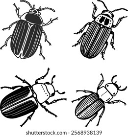 Dark beetle bundle line art and illustrator eps