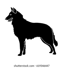 The dark Belgian wolf. Belgium single icon in black style vector symbol stock illustration.