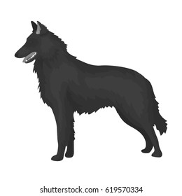 The dark Belgian wolf. Belgium single icon in monochrome style vector symbol stock illustration.