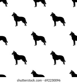 The dark Belgian wolf. Belgium single icon in black style vector symbol stock illustration.