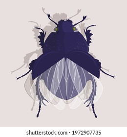 Dark blue Bug with wings isolated on light background.  Vector illustration. Single, beetle, antennae, insect, fauna, nature, flying, little, arthropod, wild life, decorative, biology, zoo.